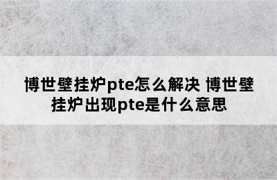 博世壁挂炉pte怎么解决 博世壁挂炉出现pte是什么意思